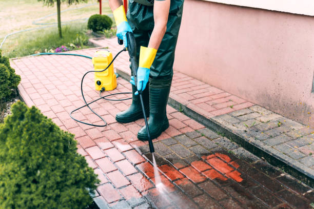 Driveway Pressure Washing